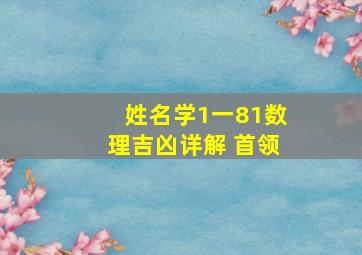 姓名学1一81数理吉凶详解 首领